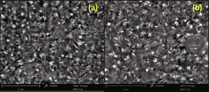 SEM images of Silver nanoparticle from Cissus Quadrangularis plant extract.