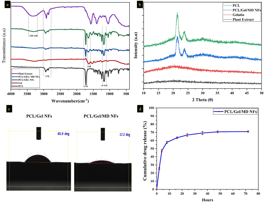 a) FTIR spectrum of plant extract, PCL/Gel/ MD NFs, PCL/Gel NFs, gelatin, and PCL, b) XRD spectrum of plant extract, gelatin, PCL and PCL/Gel/MD NFs, c) contact angle analysis of PCL/Gel and PCL/Gel/MD NFs, d) cumulative drug release percentage of PCL/Gel/MD NFs.