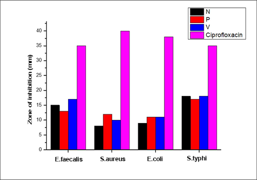 The zone of inhibition revealed through Ag NP against different bacterial strains.