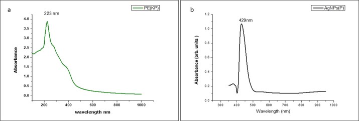 (a) UV spectra of Basella alba leaf extract. (b) UV spectrum of Ag NP formulated using Basella alba leaf extract.