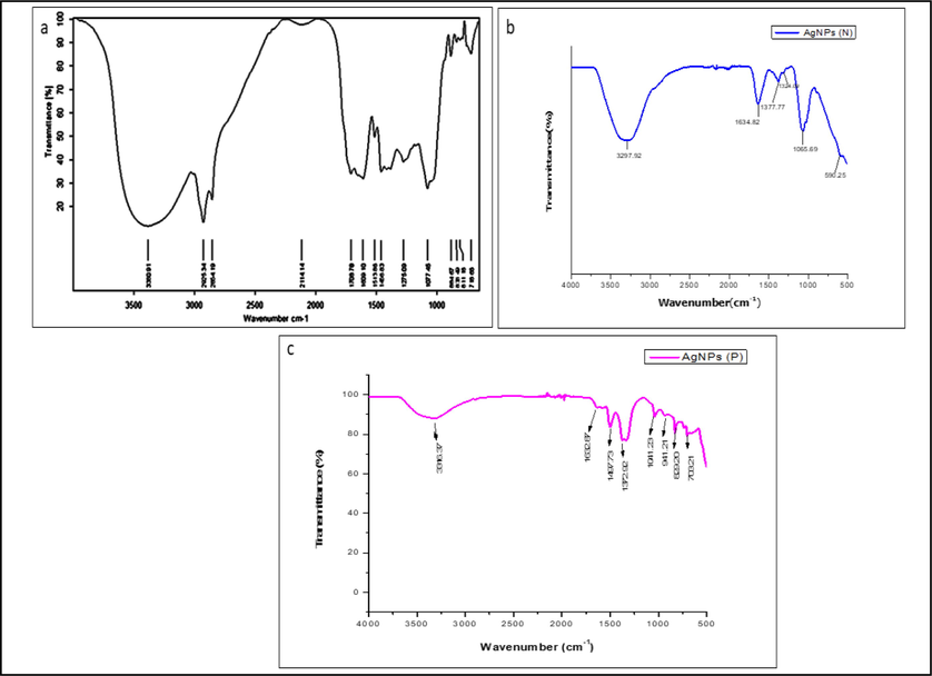 (a) FTIR spectrum of produced Ag NPs from Allium fistulosum extract. (b) FTIR spectrum of produced Ag NPs from Tabernaemontana divaricata extract. (c) FTIR spectra of produced Ag NPs from Basella alba extract.