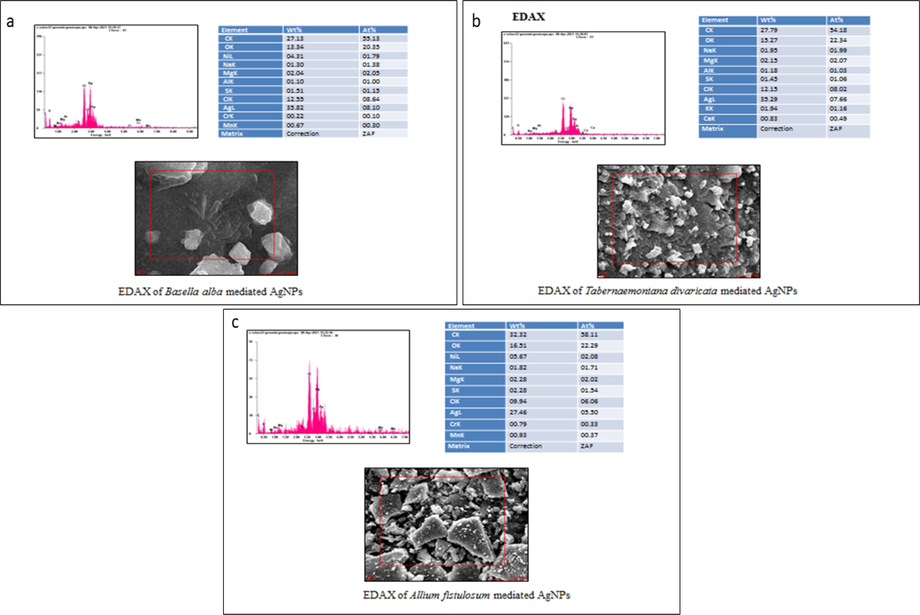 EDAX analysis of Basella alba, Allium fistulosum, and Tabernaemontana divaricate mediated AgNPs.