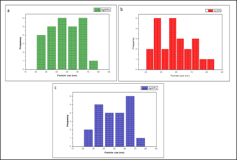 Hydrodynamic size of Ag NPs produced from (a) Basella alba, (b) Tabernaemontana divaricata and (c) Allium fistulosum extract.