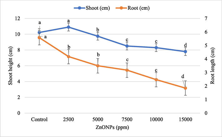 Effect of different concentrations of ZnONPs on wheat seedling height and root length. Bars represent mean ± SE of 6 replicates per treatment. The data marked by the different letters are significantly different (P ≤ 0.05) according to Tukey’s HSD tests.