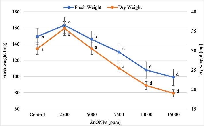 Effect of different concentrations of ZnONPs on wheat seedling fresh and dry weight. Bars represent mean ± SE of 6 replicates per treatment. The data marked by the different letters are significantly different (P ≤ 0.05) according to Tukey’s HSD tests.