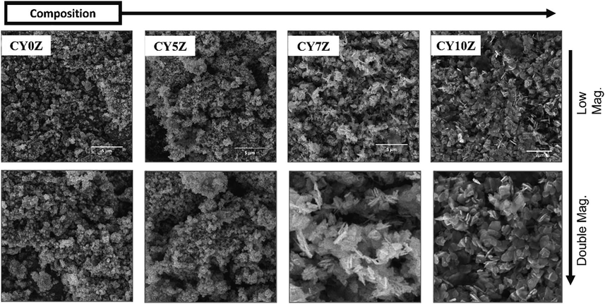 SEM images of CY0Z, CY5Z, CY7Z, and CY10Z NPs.