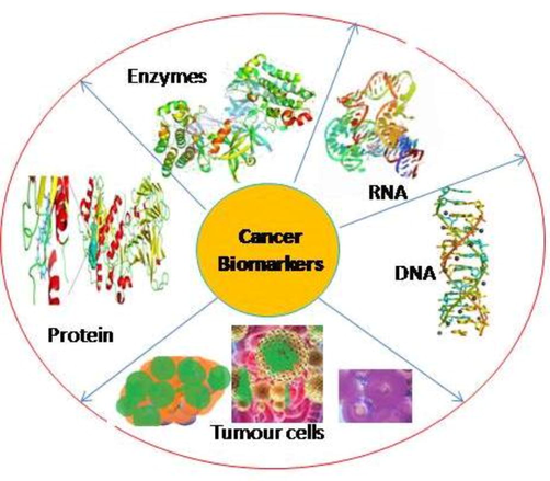 Molecular makers used for the determination of cancers.