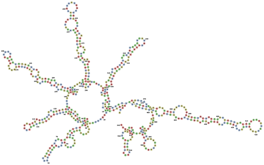 Secondary structure prediction of leader protein gene computed by using the online web server.