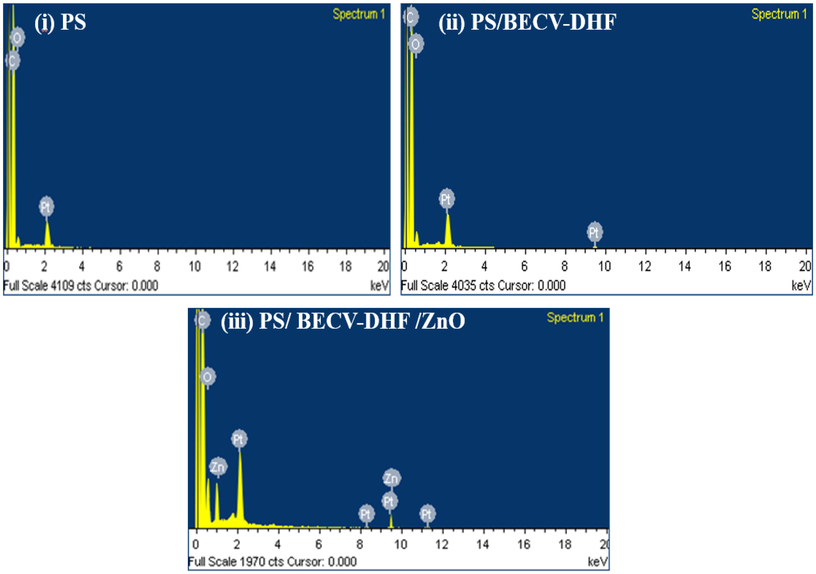 Energy-dispersive X-ray (EDX) spectroscopy of (i) PS, (ii) PS/BECV-DHF, and (iii) PS/BECV-DHF/ZnO nanocomposite samples.