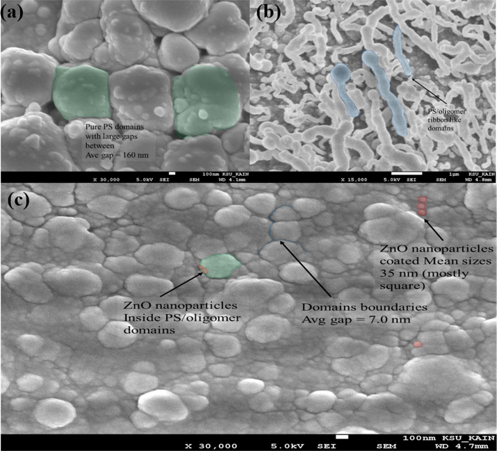 FE-SEM image of (a) PS, (b) PS/BECV-DHF, and (c) PS/BECV-DHF/ZnO. The PS domains are colorized green; similarly, some oligomer patches and ZnO nanoparticles are colorized blue and red, respectively.