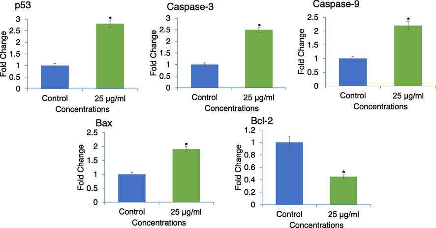 Expression of apoptotic related genes in MDA-MB-231 cells analyzed by qPCR. Cells were exposed to 25 μg/ml of APPeE for 24 h. *p < 0.05 vs control.