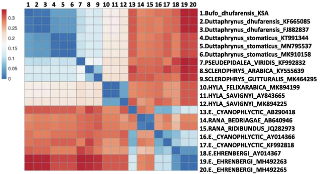 Genetic distance heatmap. The heatmap plot was constructed with genetic distance data (Table 2) using CLUSTVIS web tool (Metsalu and Vilo, 2015).