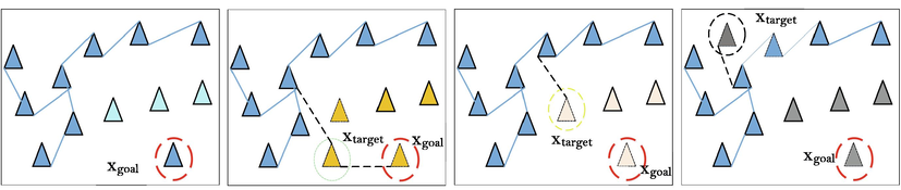 Schematic diagram of growth with different probability biases.