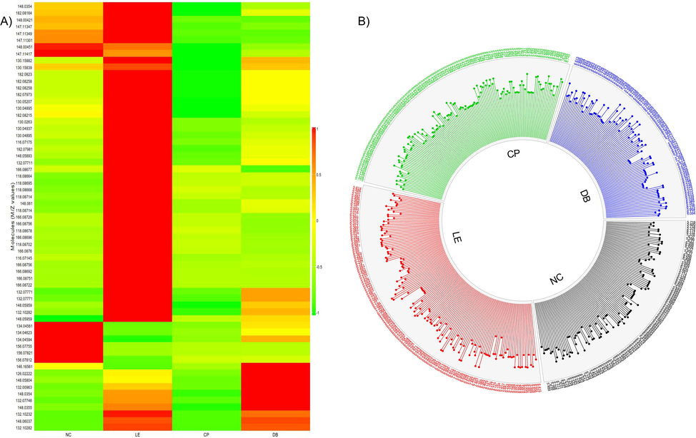 A) Heat map for measuring altered metabolites in vitreous. The ratio of precursor to metabolite for each sample value is calculated, and only significance metabolites were selected and plotted. Rows represent control (NC), light exposure (LE), BBLs (CP and DB) groups, and metabolic column ratio. Red represents upregulation of metabolites and green downregulation, respectively. B) An overview of vitreous metabolome patterns in NC, LE, CP, and DB groups. Circos diagram demonstrates a comparison of log10 altered abundance values of 63 identified metabolites (excluding xenobiotics) detected in all 4 groups.