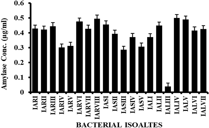 Different concentrations of amylase enzyme produced by all the selected isolates. The X-axis represents the selected isolates while Y-axis represents the concentration of amylase.