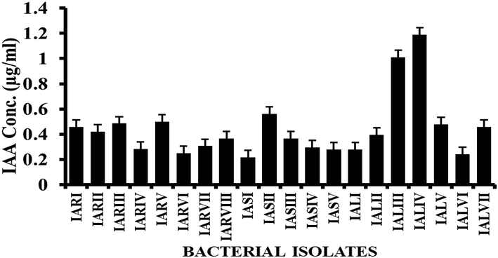 Different concentrations of indole acetic acid (IAA) produced by isolates. Error bars represent the standard deviation.