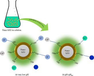 Mechanism for adsorption of metal ions on nano-SZO.