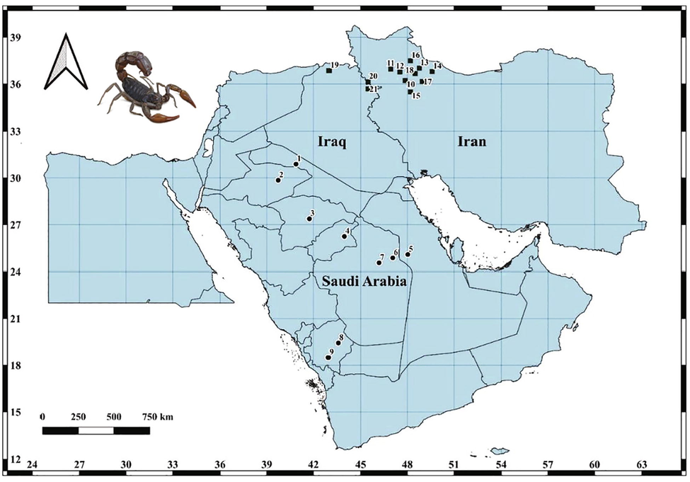 Collection localities of Androctonus crassicauda samples from Saudi Arabia and GenBank sequences from Iraq and Iran that are given in Table 1.