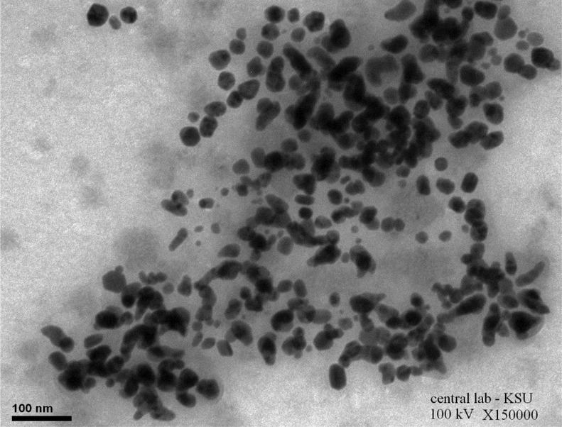 TEM micrographs of the formed Ag@ Au core -shell NPs.