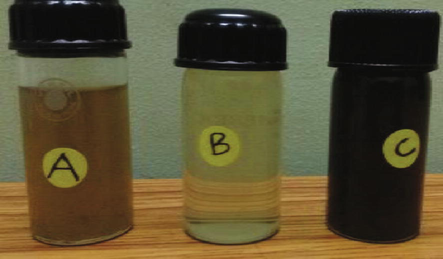 Biosynthesis of Ag NPs.