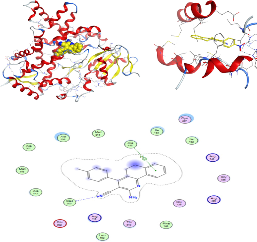 3D docking, site view & 2D of the CMMP (1) (2-Amino-4-(p-tolyl)-5,6-dihydrobenzo[h]quinoline-3-carbonitrile) and 3EQM protein cancer of breast cancer protein.