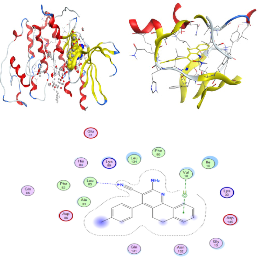 3D docking, site view & 2D of the CMMP (1) (2-Amino-4-(p-tolyl)-5,6-dihydrobenzo[h]quinoline-3-carbonitrile) and 3IG7 protein cancer of colon-cancer protein.