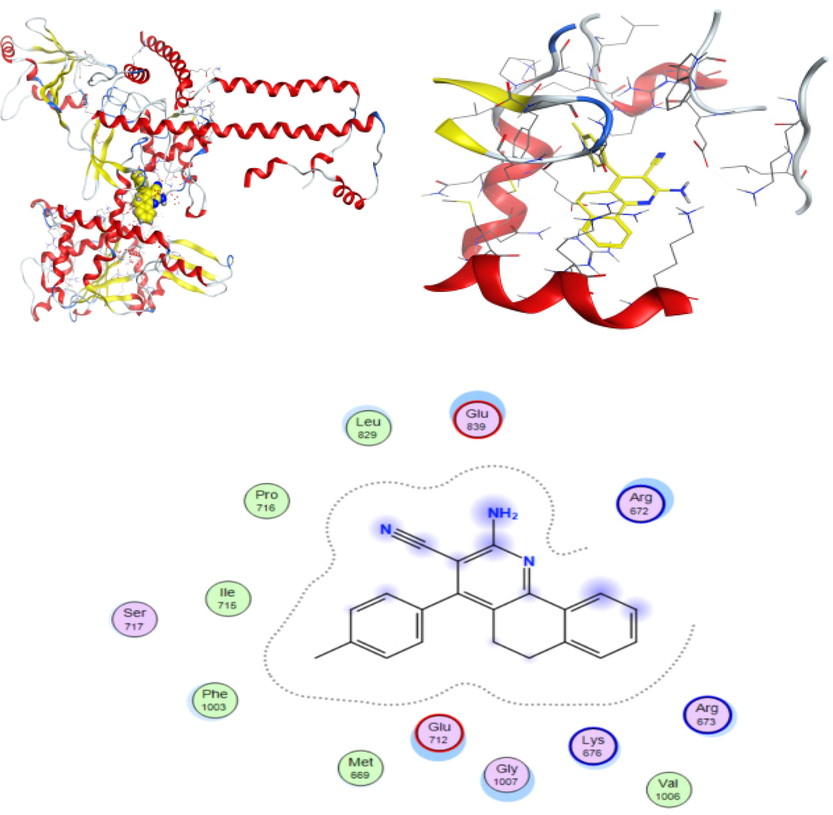 3D docking, site view & 2D of the CMMP (1) (2-Amino-4-(p-tolyl)-5,6-dihydrobenzo[h]quinoline-3-carbonitrile) and 4FM9 protein cancer of hepato-cancer protein.