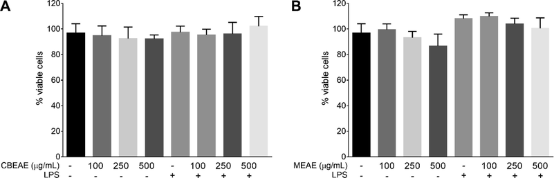 Talaromyces purpurogenus in vitro toxicity in RAW 264.7 macrophages. Viability after 48 h of cells stimulated or non-stimulated with LPS at 10 μg/mL and treated with culture broth ethyl acetate extract (CBEAE) (A) or mycelial ethyl acetate extract (MEAE) (B) of T. purpurogenus. Data represents the mean ± standard error of mean of the experiment carried out at least in quintuplicate.