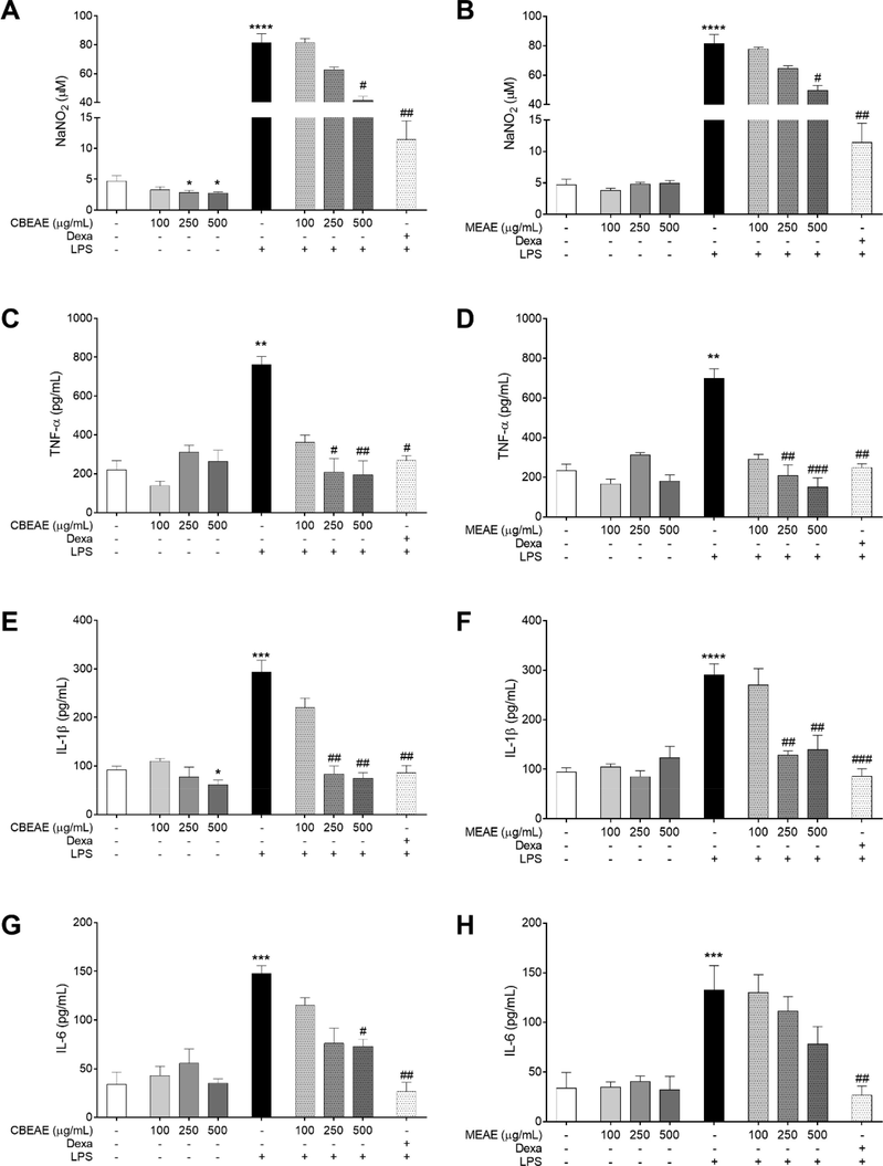 Quantification of pro-inflammatory markers in RAW 264.7 macrophages treated with Talaromyces purpurogenus. Nitrite (A-B) and cytokine levels (C–H) in supernatants of cells culture stimulated or non-stimulated with LPS at 10 μg/mL and treated for 48 h with culture broth ethyl acetate extract (CBEAE) or mycelial ethyl acetate extract (MEAE) of T. purpurogenus, or dexamethasone (Dexa) at 100 μM. Data represent the mean ± standard error of mean of experiment carried out at least in triplicate. **p < 0.01, ***p < 0.001, ****p < 0.0001 when compared with untreated and unstimulated cells and #p < 0.05, ##p < 0.01, ###p < 0.001 when compared with untreated and LPS-stimulated cells by Kruskal-Wallis and Dunn’s multiple comparisons tests.