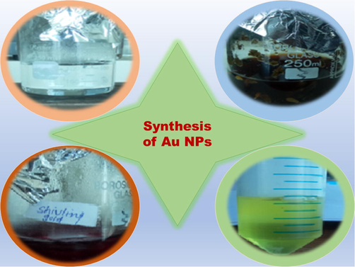 Stepwise process for the synthesis of AuNPs.