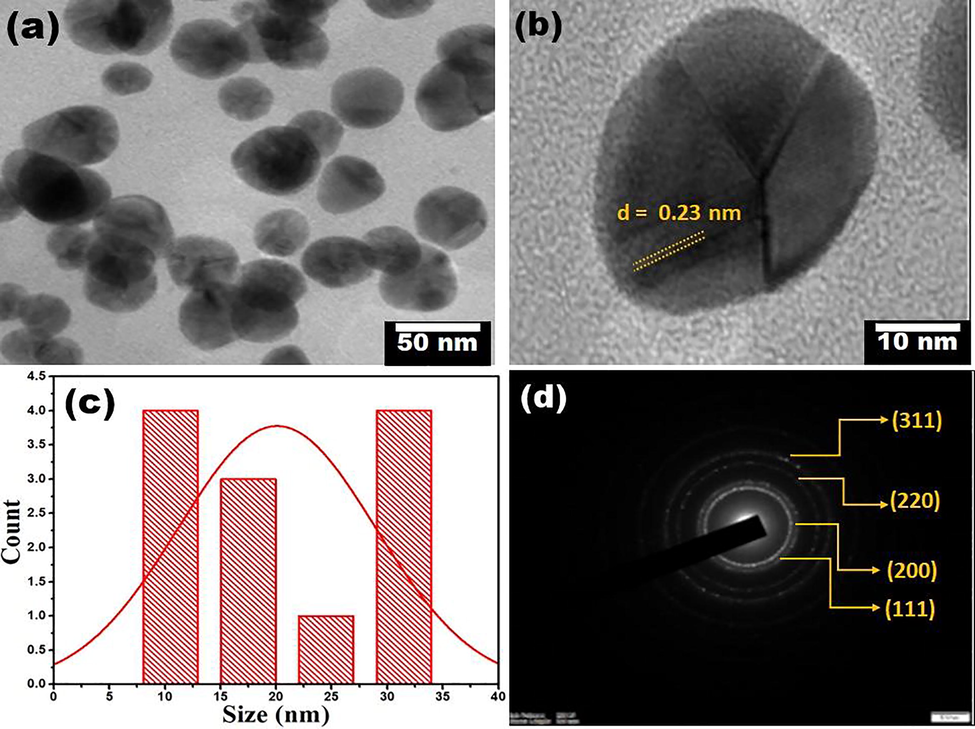 Microscopic analysis of Au NPs: (a-b) HR-TEM micrographs with lattice d-spacing, (c) histogram with size distribution curve, and (d) SAED pattern with corresponding crystal planes.