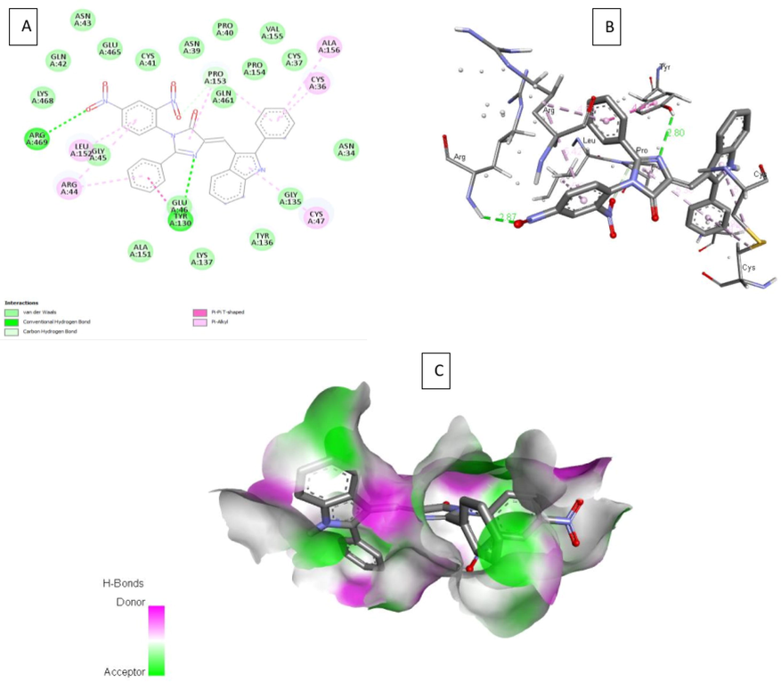 A) 2D interaction of 4b with the 3pgh; B) 3D interaction of 4b with COX-2; C) H- bond surface of receptor with ligand 4b.