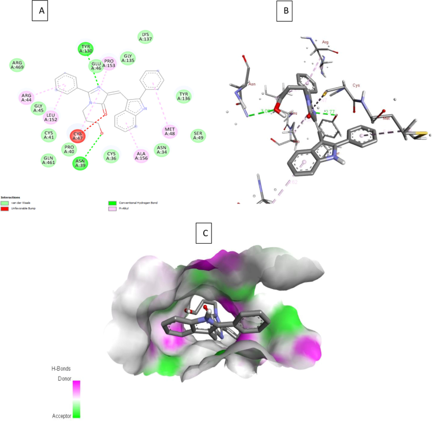 A) 2D interaction of 4g with the 3pgh; B) 3D interaction of 4g with COX-2; C) H- bond surface of receptor with ligand 4g.