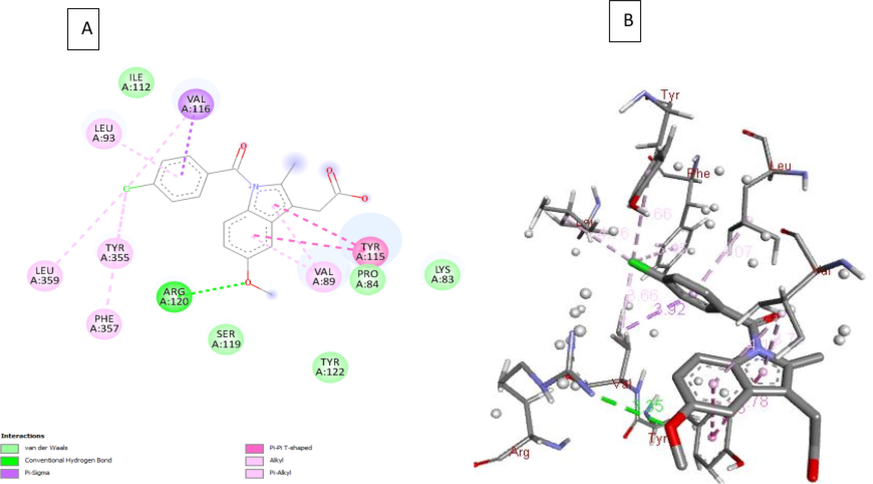 A) 2D interaction of indomethacin with the 3pgh; B) 3D interaction between indomethacin and COX-2.