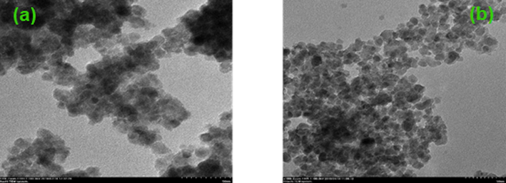 (a) TEM images of TiO2 (b) TEM images of Co-S-TiO2.