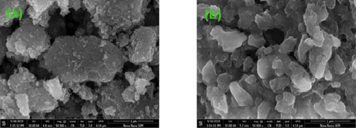 (a) SEM image of TiO2, (b) SEM image of Co-S-TiO2.