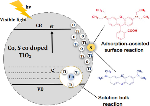 Schematic illustration for photocatalytic mechanism.