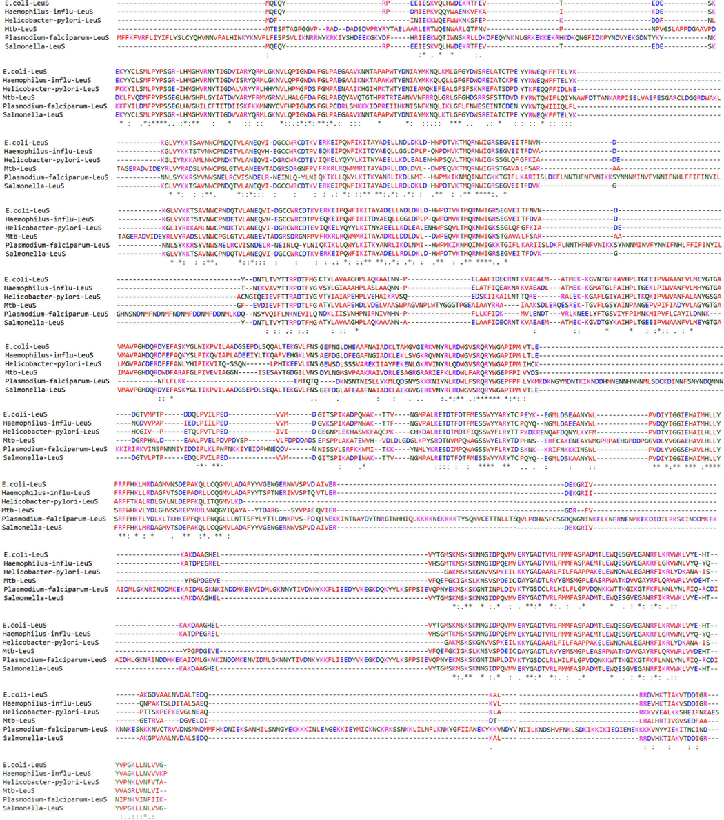 Multiple sequence alignment of LeuRS protein across 6 bacterial species. Highly conserved regions in star (∗), semi conserved regions in colon (:), mutated region in dot (.) and deleted regions in dashes (-).