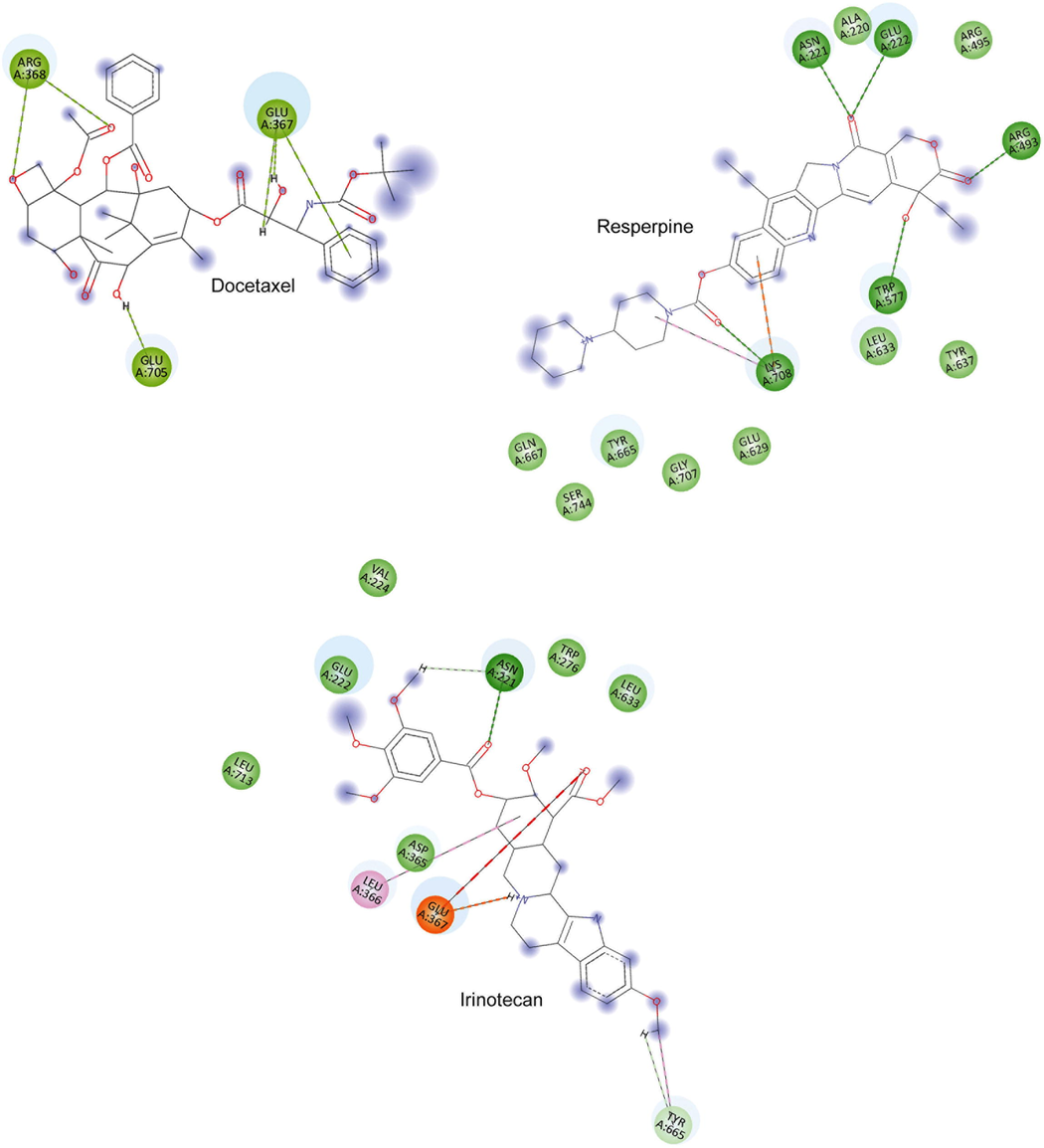 Docetaxel, Reserpine and Irinotecan in molecular docking with MTB-LeuRS. The 2D-residual interaction diagram created with Discovery Studio (according to convention, interaction types are distinguished by colored circles (residues) and dashed lines (directed to the ligand moiety).