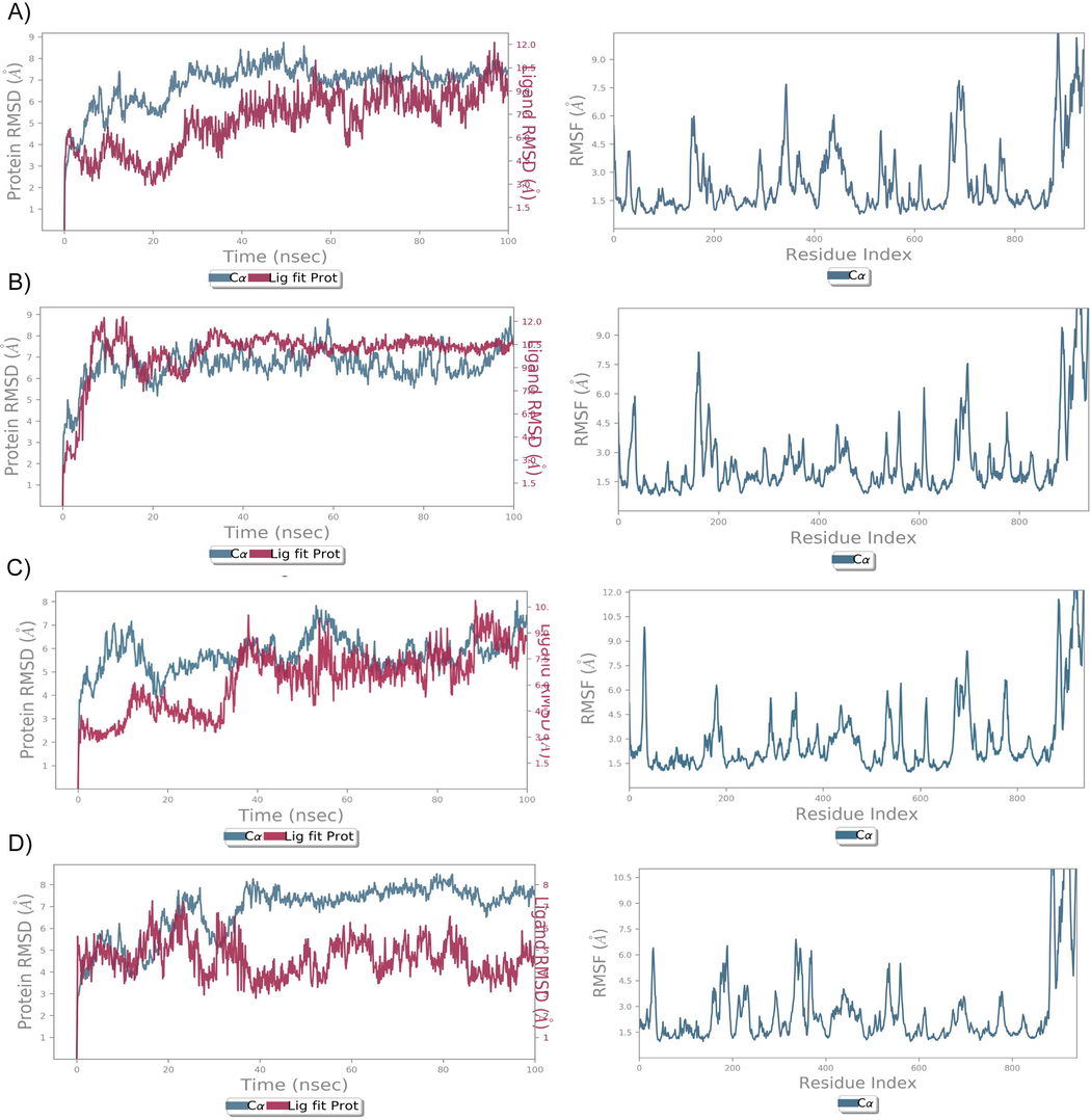 RMSD and RMSF analysis of MTB-LeuRS lead compounds using MD simulation. The RMSD plot shows the C α backbone (blue) of MTB-LeuS and lead compound fluctuations (red) at 100 ns. The RMF plot shows the fluctuation of the MtbLeuS protein while interacting with lead compounds at a 100 ns simulation period.