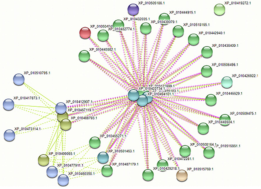 All GRF proteins interaction (Protein-protein interaction) with other proteins.