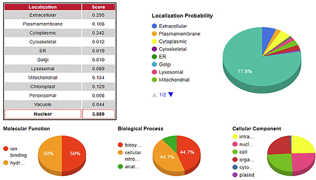 A localization probability of GRF1 in Camelina sativa.