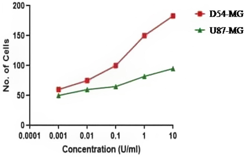 D54 cells are activated at lower concentrations of thrombin, whereas U87 cells are activated at higher concentrations.