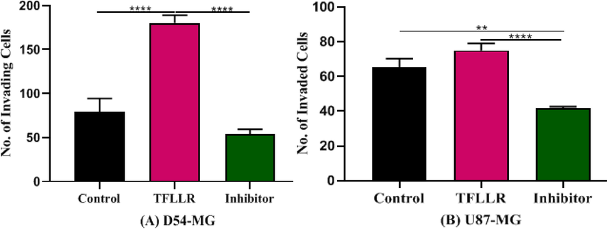 Represents the effect of activator and inhibitor of par1 in invasion of cells. (A)Effect of antagonist SCH79797 in the presence of agonist TFLLR on the invasion of D54 (B) Effect of antagonist SCH79797 in the presence of agonist TFLLR on the invasion of U87.