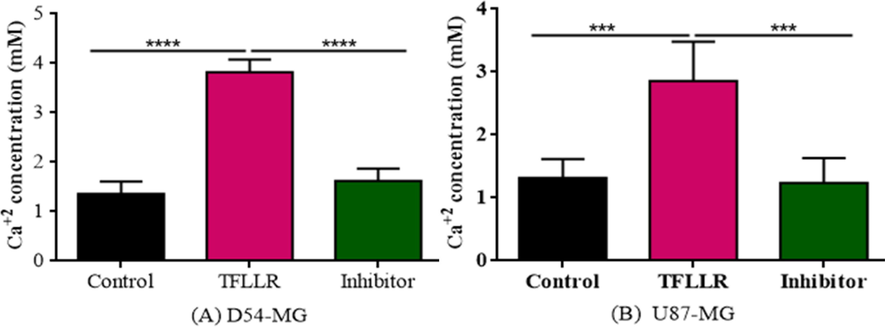 Represents the effect of agonist and antagonist of PAR1 in influx of calcium. SCH79797 decreased the calcium flux. (A)Figure shows the effect of SCH79797 with TFLLR on the calcium flux of D54 cells. (B) Figure shows the effect of SCH79797 with TFLLR on the calcium flux of U87 cells.