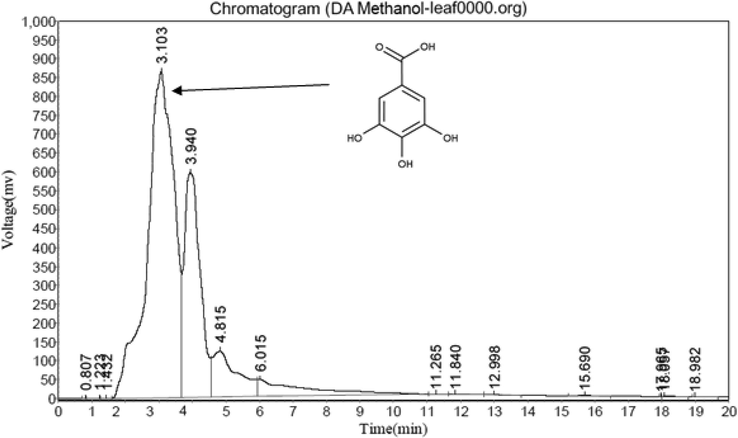 HPLC study of DA leaf methanol extract.