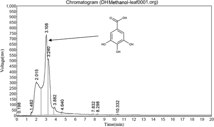 HPLC study of DH leaf methanol extract.