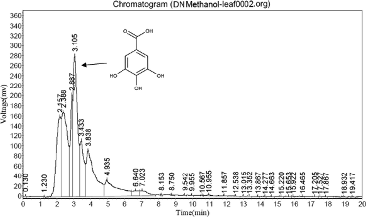 HPLC study of DN leaf methanol extract.