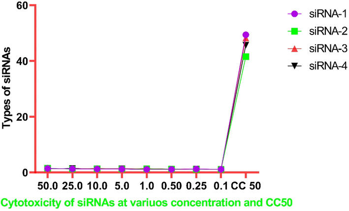 Cytotoxicity of different siRNAs (1–4) at various concentrations (0.1–50 nM) in Vero E6 cells.