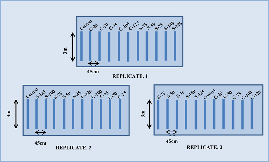 Layout design for the experimental site showing the three replicates with the arrangement of sowing in rows according to the concentration levels of both the nanoparticles (C stands for OH-MWCNTs and S for SiO2 nanoparticles).